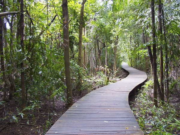 深圳晶振厂家